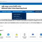 Suspected cyber Fraudster